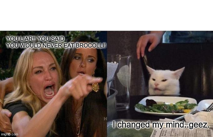 Not brocolli! | YOU LIAR!! YOU SAID YOU WOULD NEVER EAT BROCOLLI! I changed my mind..geez. | image tagged in memes,woman yelling at cat | made w/ Imgflip meme maker