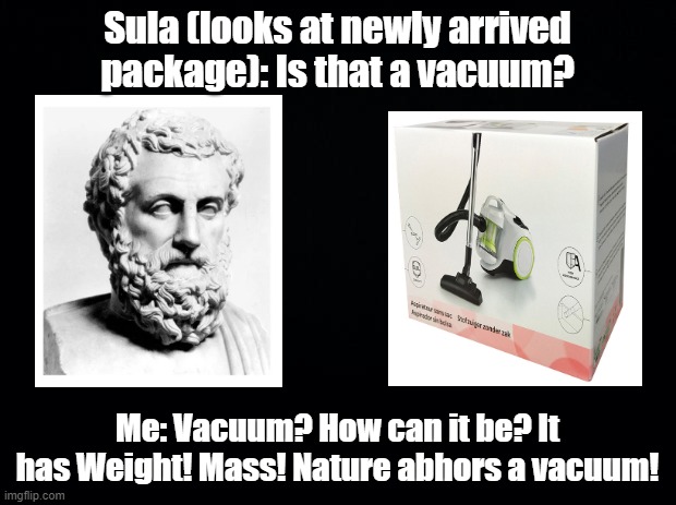 Nature abhors vacuums | Sula (looks at newly arrived package): Is that a vacuum? Me: Vacuum? How can it be? It has Weight! Mass! Nature abhors a vacuum! | image tagged in black background,vacuum,aristotle,pun | made w/ Imgflip meme maker