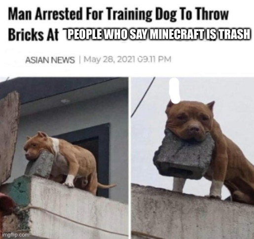 Brick Throwing Doggo | PEOPLE WHO SAY MINECRAFT IS TRASH | image tagged in brick throwing doggo | made w/ Imgflip meme maker