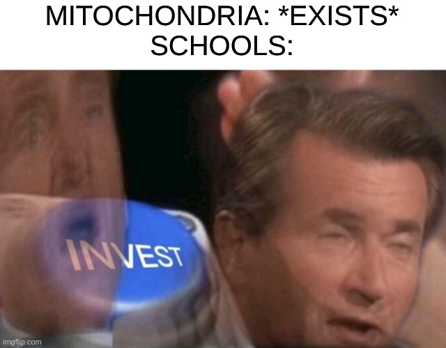 MiToChOnDrIa Is ThE pOwErHoUsE oF tHe CeLl | MITOCHONDRIA: *EXISTS*
SCHOOLS: | image tagged in invest | made w/ Imgflip meme maker