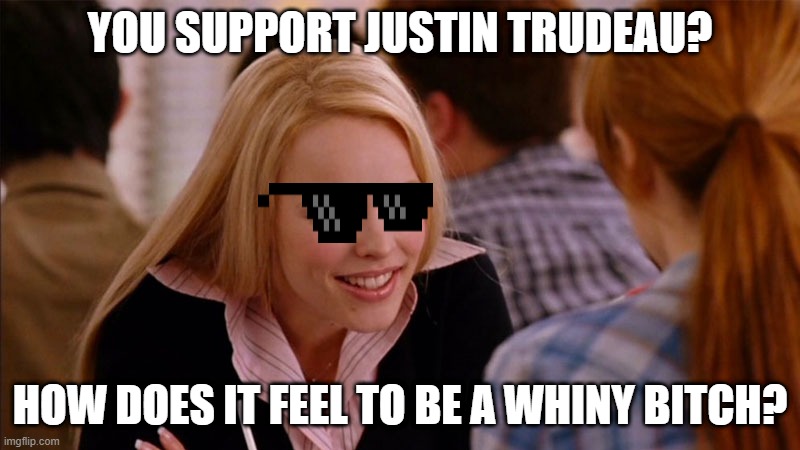 So You Agree | YOU SUPPORT JUSTIN TRUDEAU? HOW DOES IT FEEL TO BE A WHINY BITCH? | image tagged in so you agree | made w/ Imgflip meme maker