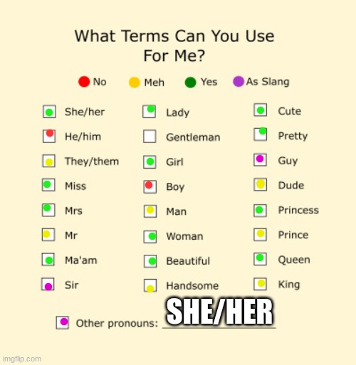 yay! | SHE/HER | image tagged in pronouns sheet | made w/ Imgflip meme maker