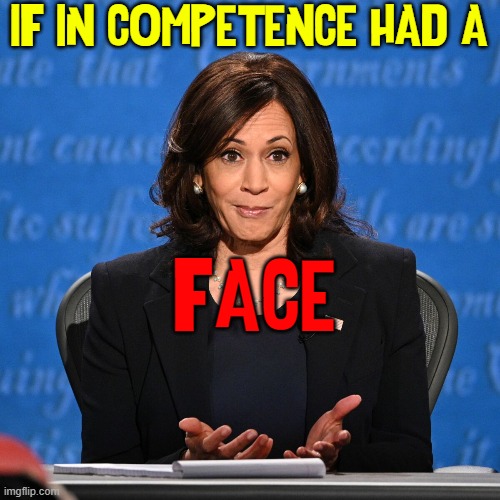 When you wish upon a czar, your dreams are poo! | IF IN COMPETENCE HAD A; FACE | image tagged in vince vance,kamala harris,incompetence,do nothing,vice president,memes | made w/ Imgflip meme maker