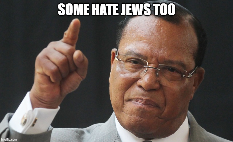 Louis Farakkhan | SOME HATE JEWS TOO | image tagged in louis farakkhan | made w/ Imgflip meme maker