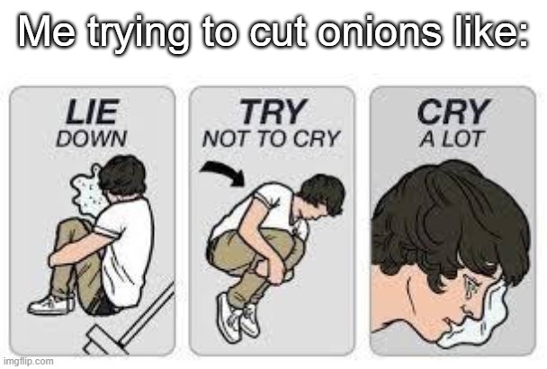 Onions | Me trying to cut onions like: | image tagged in lie don't cry cry a lot | made w/ Imgflip meme maker