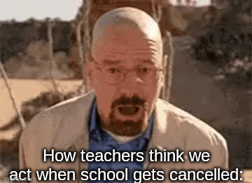 Clever title | How teachers think we act when school gets cancelled: | image tagged in gifs,funny,memes,sauce made this,oh wow are you actually reading these tags,stop reading the tags | made w/ Imgflip video-to-gif maker