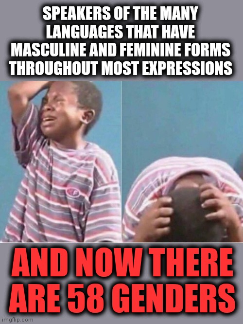 Mais non! | SPEAKERS OF THE MANY LANGUAGES THAT HAVE MASCULINE AND FEMININE FORMS THROUGHOUT MOST EXPRESSIONS; AND NOW THERE ARE 58 GENDERS | image tagged in crying boy,languages,genders,masculine,feminine,expressions | made w/ Imgflip meme maker