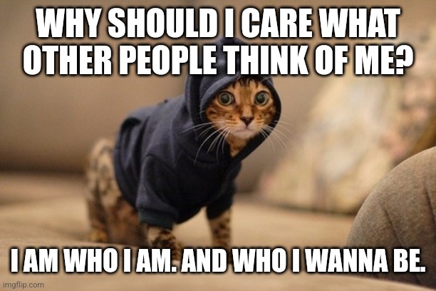 Avril the Kat | WHY SHOULD I CARE WHAT OTHER PEOPLE THINK OF ME? I AM WHO I AM. AND WHO I WANNA BE. | image tagged in memes,hoody cat,avril lavigne,punk,punk rock,emo | made w/ Imgflip meme maker