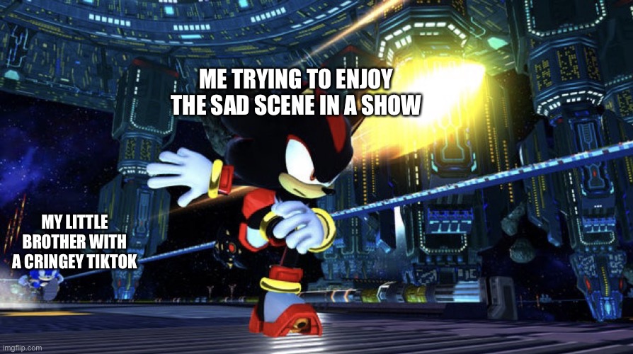 Do you mind? | ME TRYING TO ENJOY THE SAD SCENE IN A SHOW; MY LITTLE BROTHER WITH A CRINGEY TIKTOK | image tagged in sonic is catching up,sonic the hedgehog,shadow the hedgehog,relatable | made w/ Imgflip meme maker