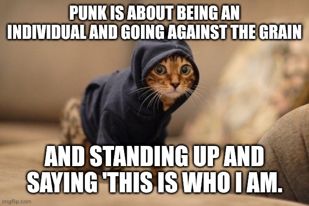 Punk rock kitty | PUNK IS ABOUT BEING AN INDIVIDUAL AND GOING AGAINST THE GRAIN; AND STANDING UP AND SAYING 'THIS IS WHO I AM. | image tagged in memes,hoody cat,punk,goth,emo | made w/ Imgflip meme maker