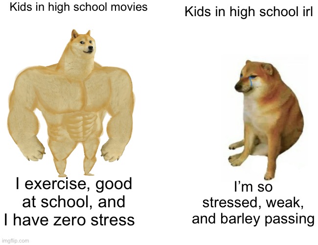 Buff Doge vs. Cheems Meme | Kids in high school movies; Kids in high school irl; I’m so stressed, weak, and barley passing; I exercise, good at school, and I have zero stress | image tagged in memes,buff doge vs cheems | made w/ Imgflip meme maker