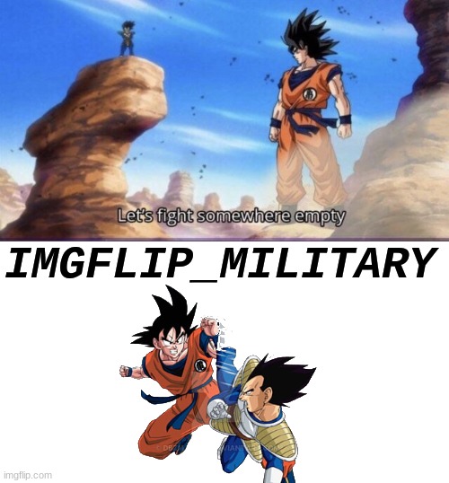 TRUE | IMGFLIP_MILITARY | image tagged in let's fight somewhere empty | made w/ Imgflip meme maker