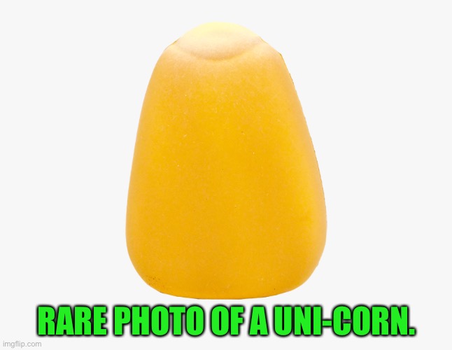 Roll only one eye please | RARE PHOTO OF A UNI-CORN. | made w/ Imgflip meme maker