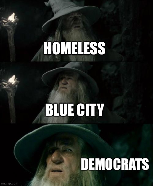 Confused Gandalf Meme | HOMELESS BLUE CITY DEMOCRATS | image tagged in memes,confused gandalf | made w/ Imgflip meme maker