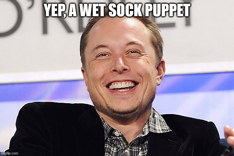Elon musk | YEP, A WET SOCK PUPPET | image tagged in elon musk | made w/ Imgflip meme maker