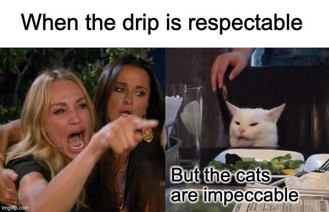 Woman Yelling At Cat | When the drip is respectable; But the cats are impeccable | image tagged in memes,woman yelling at cat | made w/ Imgflip meme maker
