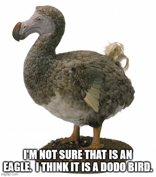 Dodo bird | I'M NOT SURE THAT IS AN EAGLE.  I THINK IT IS A DODO BIRD. | image tagged in dodo bird | made w/ Imgflip meme maker