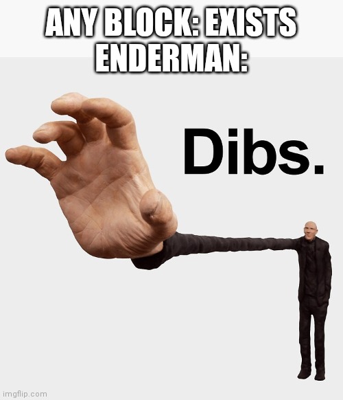 Annoying sometimes | ANY BLOCK: EXISTS
ENDERMAN: | image tagged in dibs | made w/ Imgflip meme maker