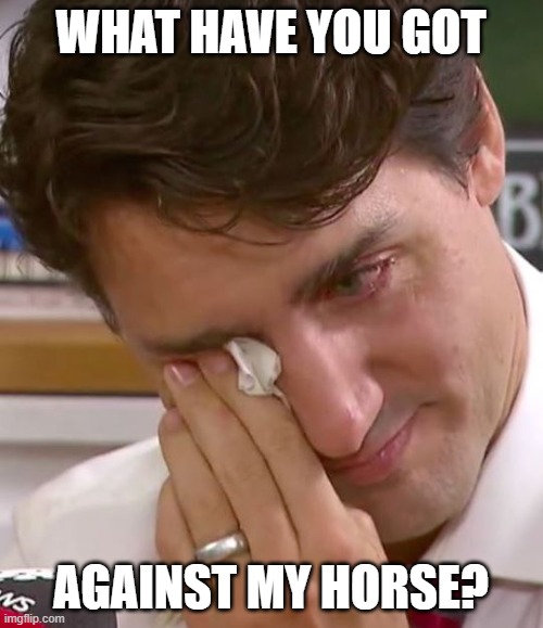 Justin Trudeau Crying | WHAT HAVE YOU GOT AGAINST MY HORSE? | image tagged in justin trudeau crying | made w/ Imgflip meme maker
