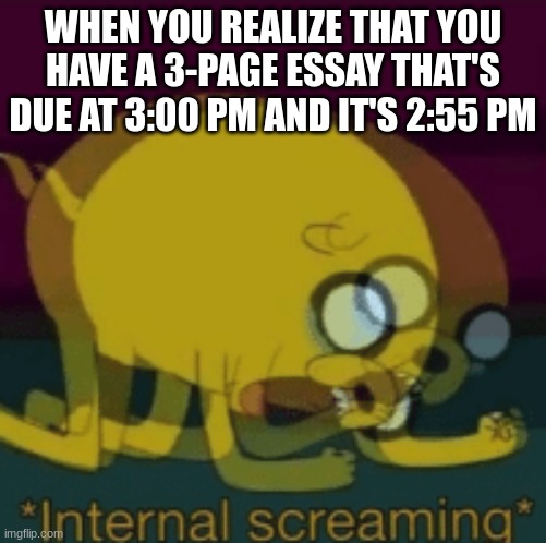 Jake The Dog Internal Screaming | WHEN YOU REALIZE THAT YOU HAVE A 3-PAGE ESSAY THAT'S DUE AT 3:00 PM AND IT'S 2:55 PM | image tagged in jake the dog internal screaming | made w/ Imgflip meme maker