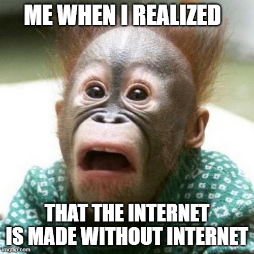 Shocked Monkey | ME WHEN I REALIZED; THAT THE INTERNET IS MADE WITHOUT INTERNET | image tagged in shocked monkey | made w/ Imgflip meme maker