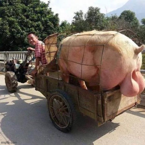 big balls | image tagged in big balls | made w/ Imgflip meme maker