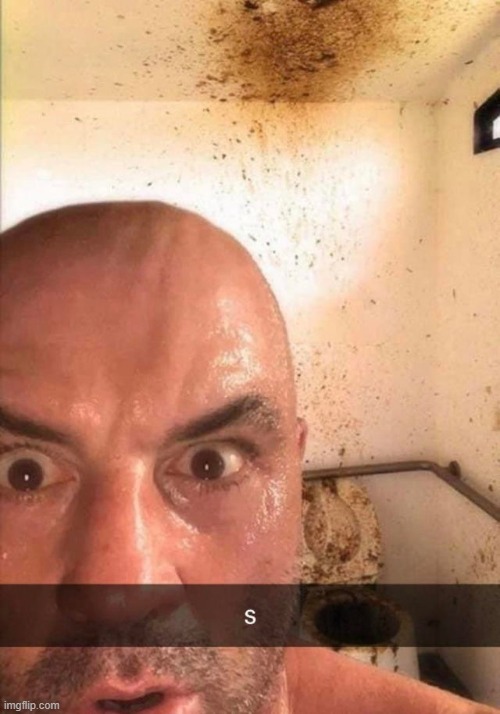 s | made w/ Imgflip meme maker