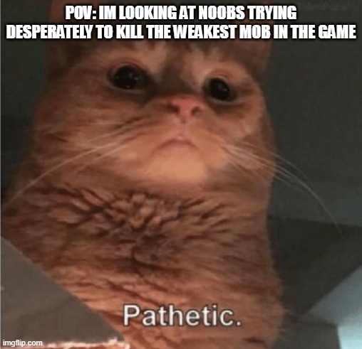 weak. | POV: IM LOOKING AT NOOBS TRYING DESPERATELY TO KILL THE WEAKEST MOB IN THE GAME | image tagged in pathetic cat,noobs | made w/ Imgflip meme maker