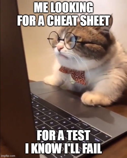 The test | ME LOOKING FOR A CHEAT SHEET; FOR A TEST I KNOW I'LL FAIL | image tagged in research cat | made w/ Imgflip meme maker