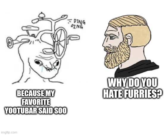 TRUE | BECAUSE MY FAVORITE YOOTUBAR SAID SOO; WHY DO YOU HATE FURRIES? | image tagged in dumb wojak vs chad | made w/ Imgflip meme maker