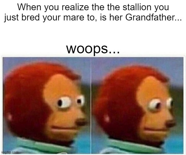 HorseReality Memes | When you realize the the stallion you just bred your mare to, is her Grandfather... woops... | image tagged in memes,monkey puppet | made w/ Imgflip meme maker