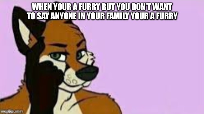 WHEN YOUR A FURRY BUT YOU DON’T WANT TO SAY ANYONE IN YOUR FAMILY YOUR A FURRY | image tagged in roll furry think about it | made w/ Imgflip meme maker