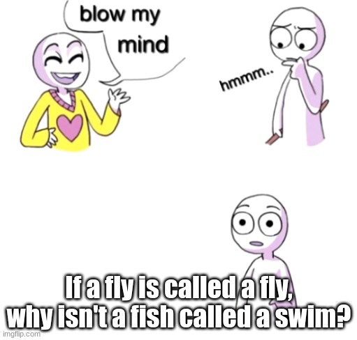 Blow my mind | If a fly is called a fly, why isn't a fish called a swim? | image tagged in blow my mind | made w/ Imgflip meme maker