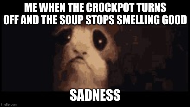sad porg eyes |  ME WHEN THE CROCKPOT TURNS OFF AND THE SOUP STOPS SMELLING GOOD; SADNESS | image tagged in sad porg eyes | made w/ Imgflip meme maker