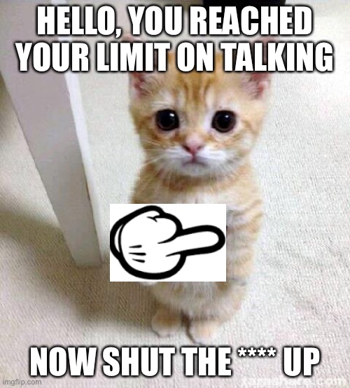 Cute cat gives you middy finge | HELLO, YOU REACHED YOUR LIMIT ON TALKING; NOW SHUT THE **** UP | image tagged in memes,cute cat | made w/ Imgflip meme maker