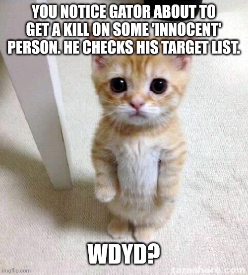 Cute Cat Meme | YOU NOTICE GATOR ABOUT TO GET A KILL ON SOME 'INNOCENT' PERSON. HE CHECKS HIS TARGET LIST. WDYD? | image tagged in memes,cute cat | made w/ Imgflip meme maker