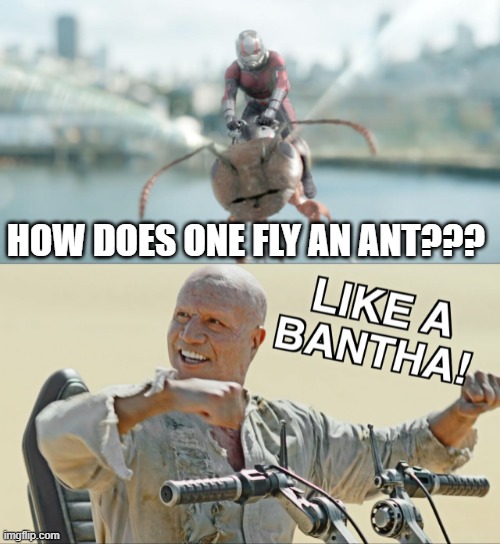 Boba's Ant Riding Advice | HOW DOES ONE FLY AN ANT??? | image tagged in boba fett like a bantha | made w/ Imgflip meme maker