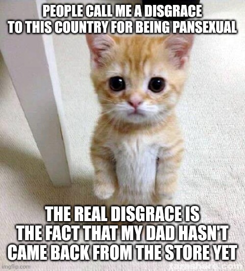 #Fatherlessmoment | PEOPLE CALL ME A DISGRACE TO THIS COUNTRY FOR BEING PANSEXUAL; THE REAL DISGRACE IS THE FACT THAT MY DAD HASN'T CAME BACK FROM THE STORE YET | image tagged in memes,cute cat | made w/ Imgflip meme maker