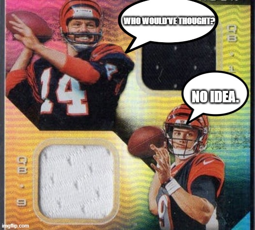 Superbowl? took them long enough | WHO WOULD'VE THOUGHT? NO IDEA. | image tagged in bengals,superbowl | made w/ Imgflip meme maker