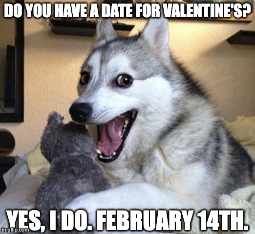 pun dog | DO YOU HAVE A DATE FOR VALENTINE'S? YES, I DO. FEBRUARY 14TH. | image tagged in pun dog | made w/ Imgflip meme maker