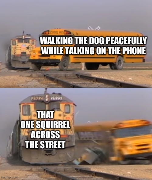 A train hitting a school bus | WALKING THE DOG PEACEFULLY WHILE TALKING ON THE PHONE; THAT ONE SQUIRREL ACROSS THE STREET | image tagged in a train hitting a school bus | made w/ Imgflip meme maker