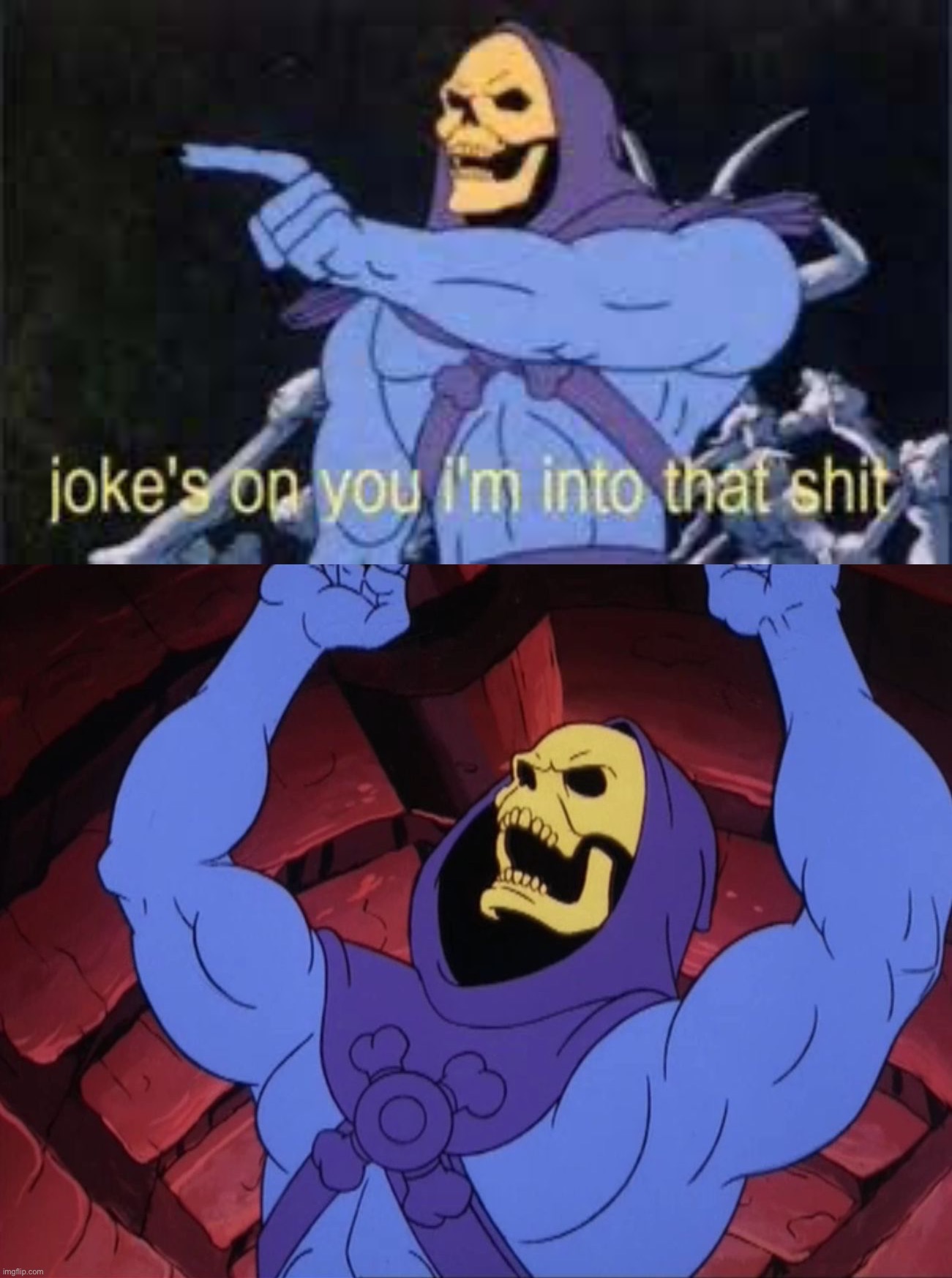 image tagged in jokes on you im into that shit,skeletor | made w/ Imgflip meme maker