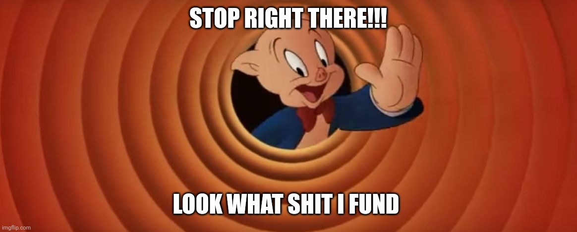 Look in comments promise its not a Rick roll I hate them sometimes | STOP RIGHT THERE!!! LOOK WHAT SHIT I FUND | image tagged in porky pig that's all folks | made w/ Imgflip meme maker