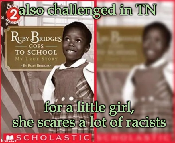 also challenged in TN for a little girl, she scares a lot of racists | made w/ Imgflip meme maker
