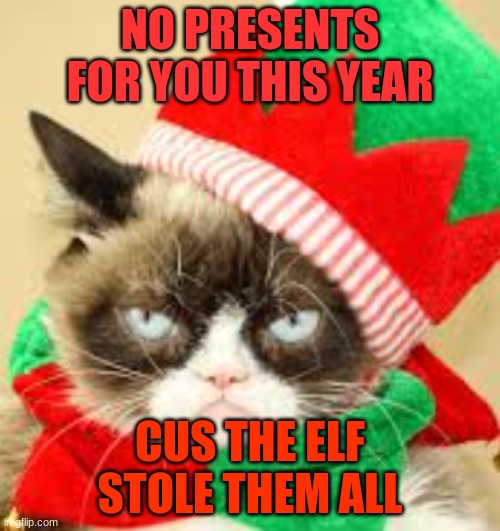 Grumpy elf | NO PRESENTS FOR YOU THIS YEAR; CUS THE ELF STOLE THEM ALL | image tagged in grumpy cat | made w/ Imgflip meme maker