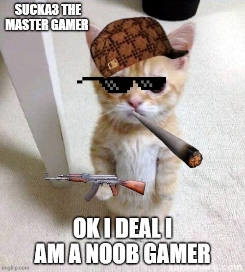 Cute Cat | SUCKA3 THE MASTER GAMER; OK I DEAL I AM A NOOB GAMER | image tagged in memes,cute cat | made w/ Imgflip meme maker
