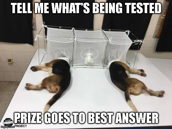 Bonus points if you come up with a good hypothesis | TELL ME WHAT'S BEING TESTED; PRIZE GOES TO BEST ANSWER | made w/ Imgflip meme maker