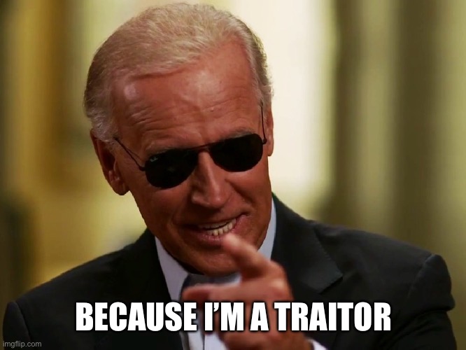 Cool Joe Biden | BECAUSE I’M A TRAITOR | image tagged in cool joe biden | made w/ Imgflip meme maker