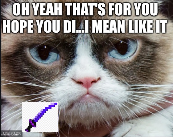 grumpy cat | HOPE YOU DI...I MEAN LIKE IT; OH YEAH THAT'S FOR YOU | image tagged in grumpy cat | made w/ Imgflip meme maker