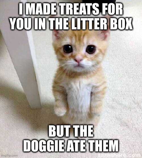 Pet Hack: get a dog and two cats. Feed cats good food and use corn litter. Dog cleans cat box and you don't need to buy dog food | I MADE TREATS FOR YOU IN THE LITTER BOX; BUT THE DOGGIE ATE THEM | image tagged in memes,cute cat | made w/ Imgflip meme maker